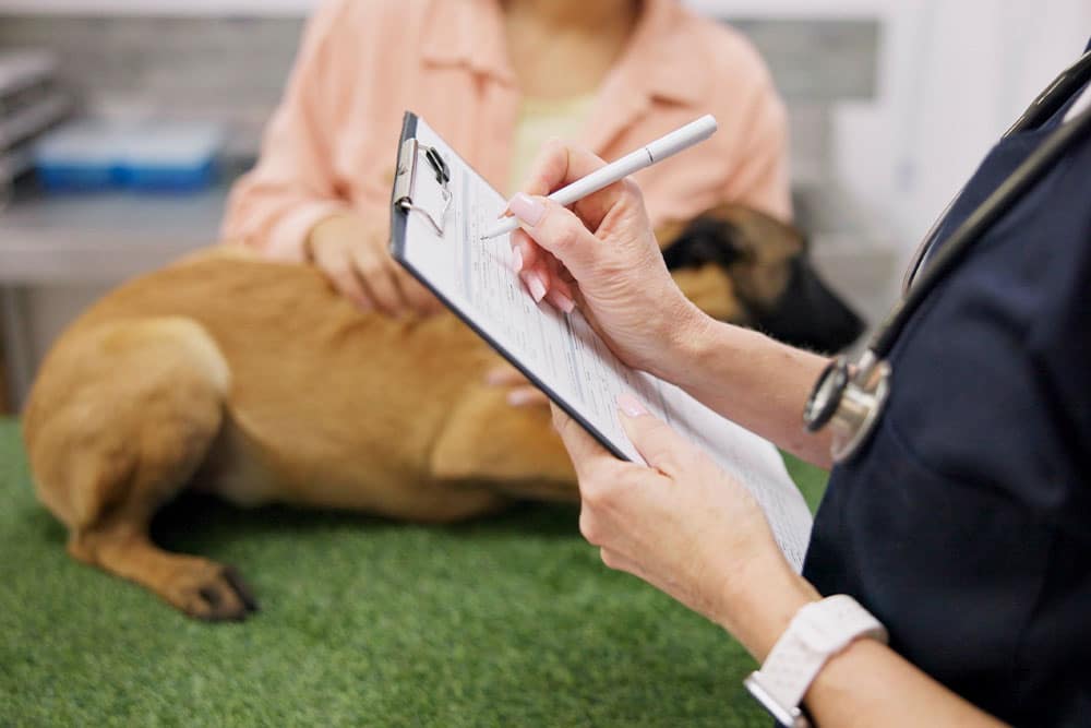 A close-up of a veterinarian's hands writing on a clipboard while a dog lies on an exam table in the background.